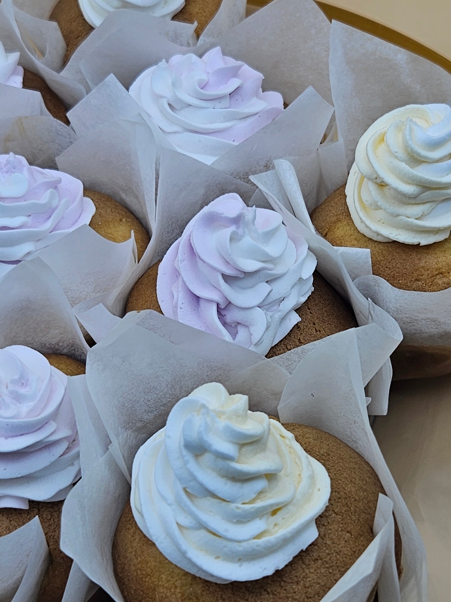 Refugio Cupcakes-Paper Cups